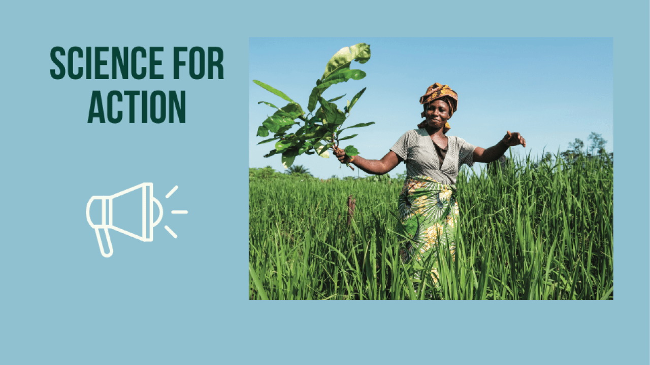 woman holding leafy plant