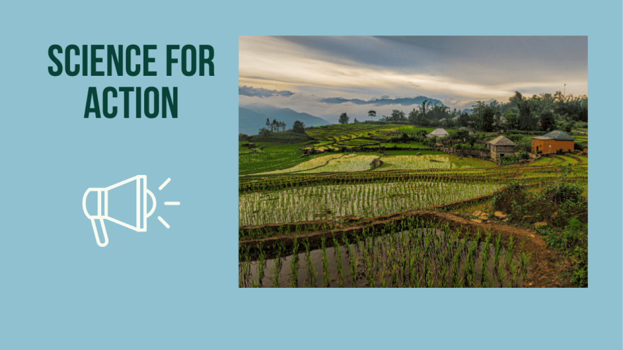 Diverse landscape with agriculture and forests