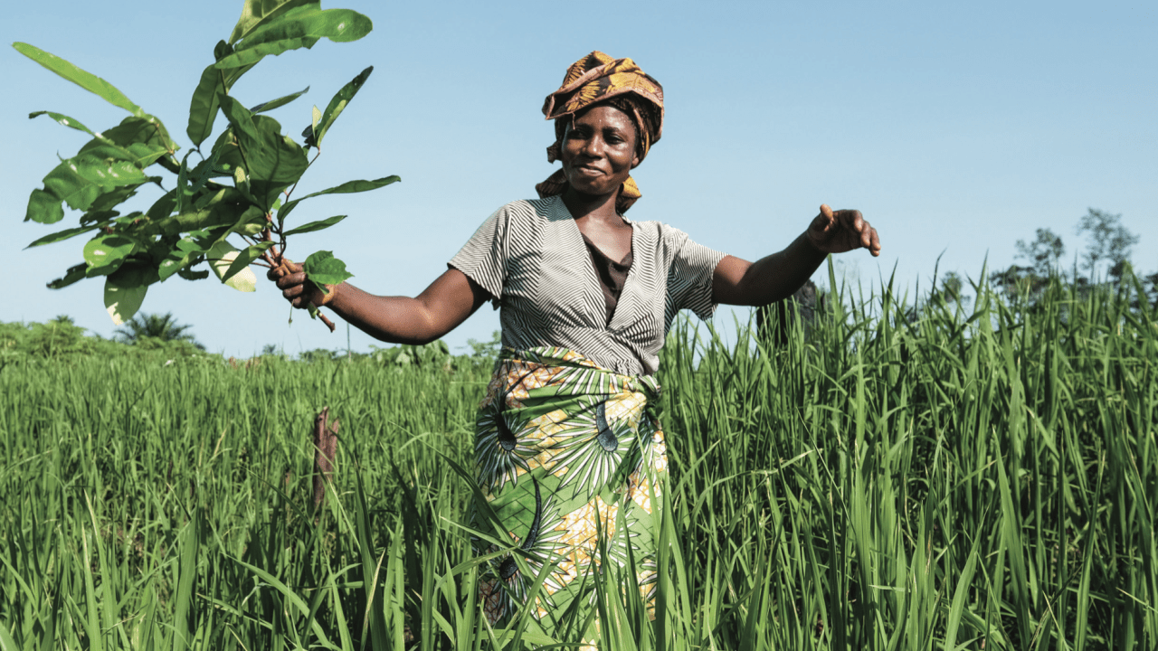 Woman in turban standing in field waving branches