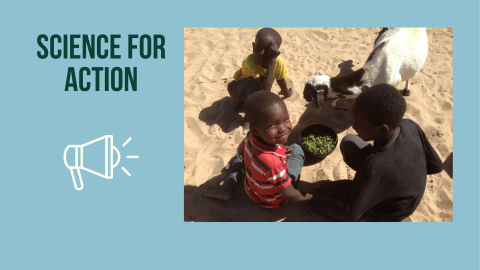 three boys and a goat surround a bowl of food
