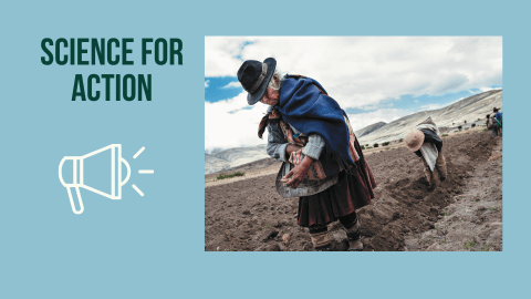 woman picking potatoes on a farm