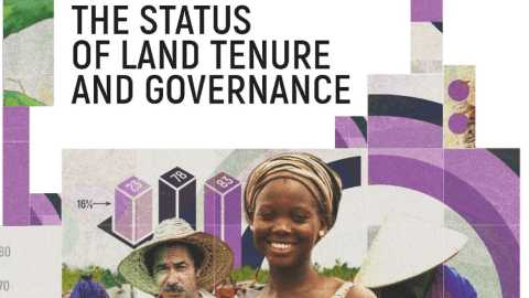 FAO Status of Land Tenure and governance