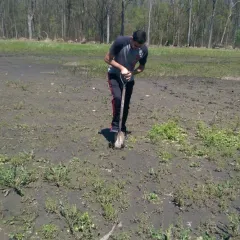 Bardh Xerxa Headshot