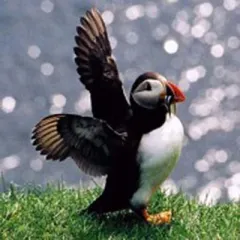 Ilan Kelman Headshot