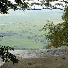 Rob Marchant Headshot