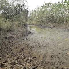 Kossi AMEGNAGLO Headshot