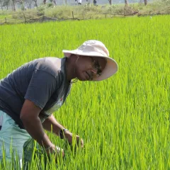 Sengottayan Senthil-Nathan Headshot