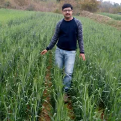 Pankaj Srivastava Headshot