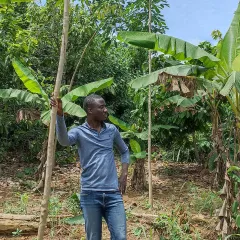 Thomas Addoah Headshot