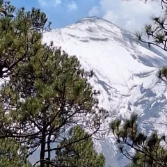 Rogelio Ramos Aguilar Headshot