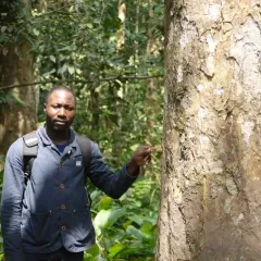 Mahmoud Ibrahim-Mahmoud Headshot