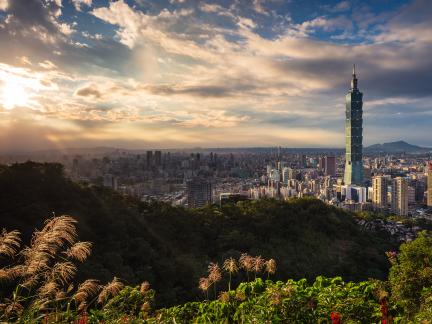 Skyline of Taipei at sunset with plants in foreground